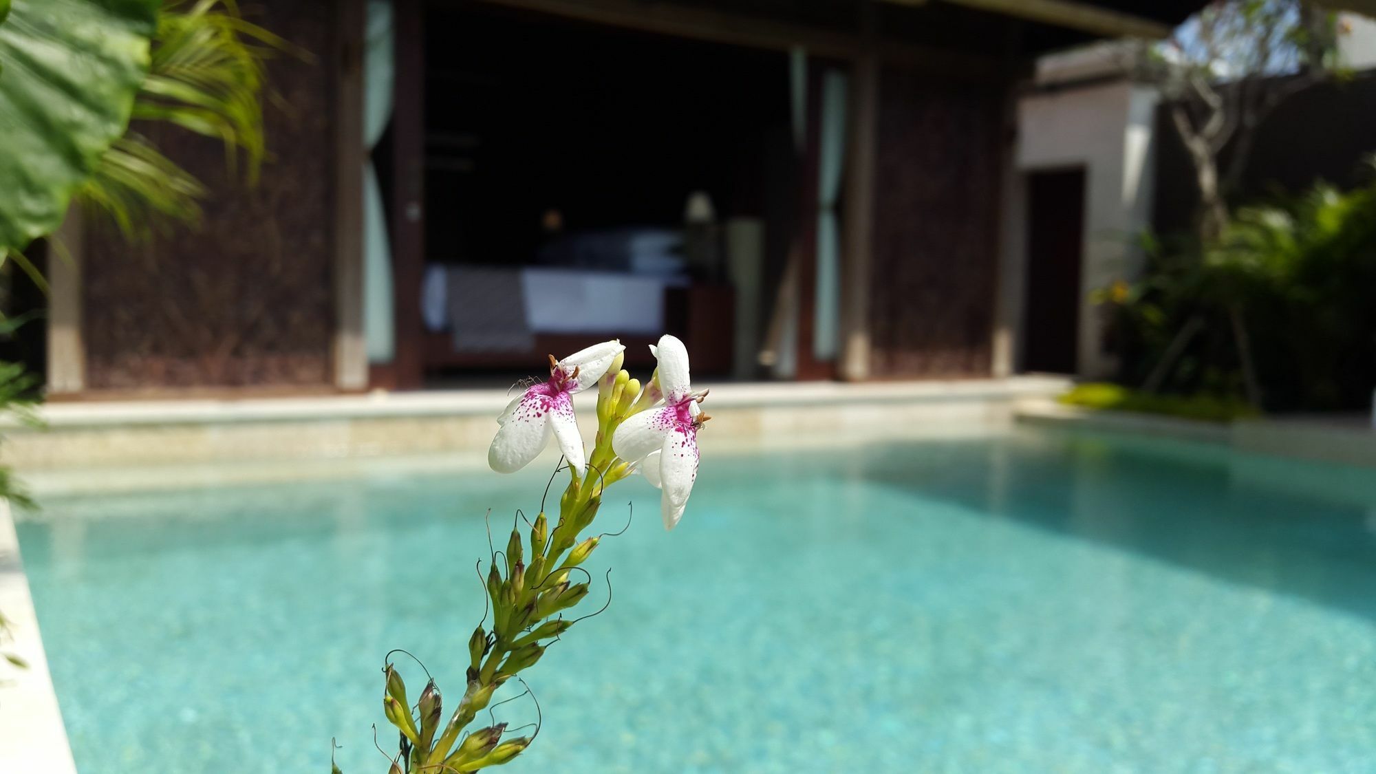 Sri Abi Ratu Villas Sukawati Eksteriør bilde